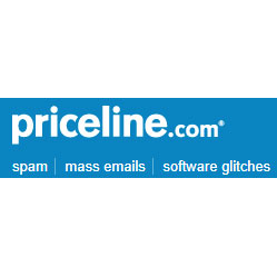 Priceline's little-known services
