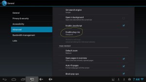 Plugins must be enabled in the Android browser